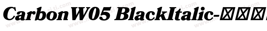 CarbonW05 BlackItalic字体转换